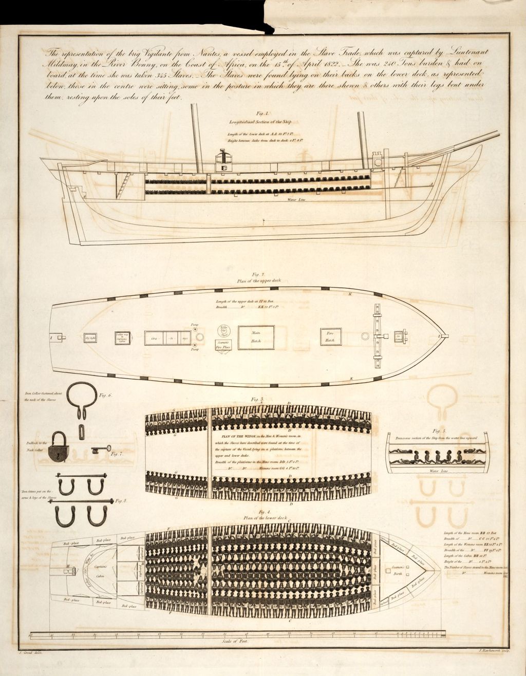 Slave ship diagram