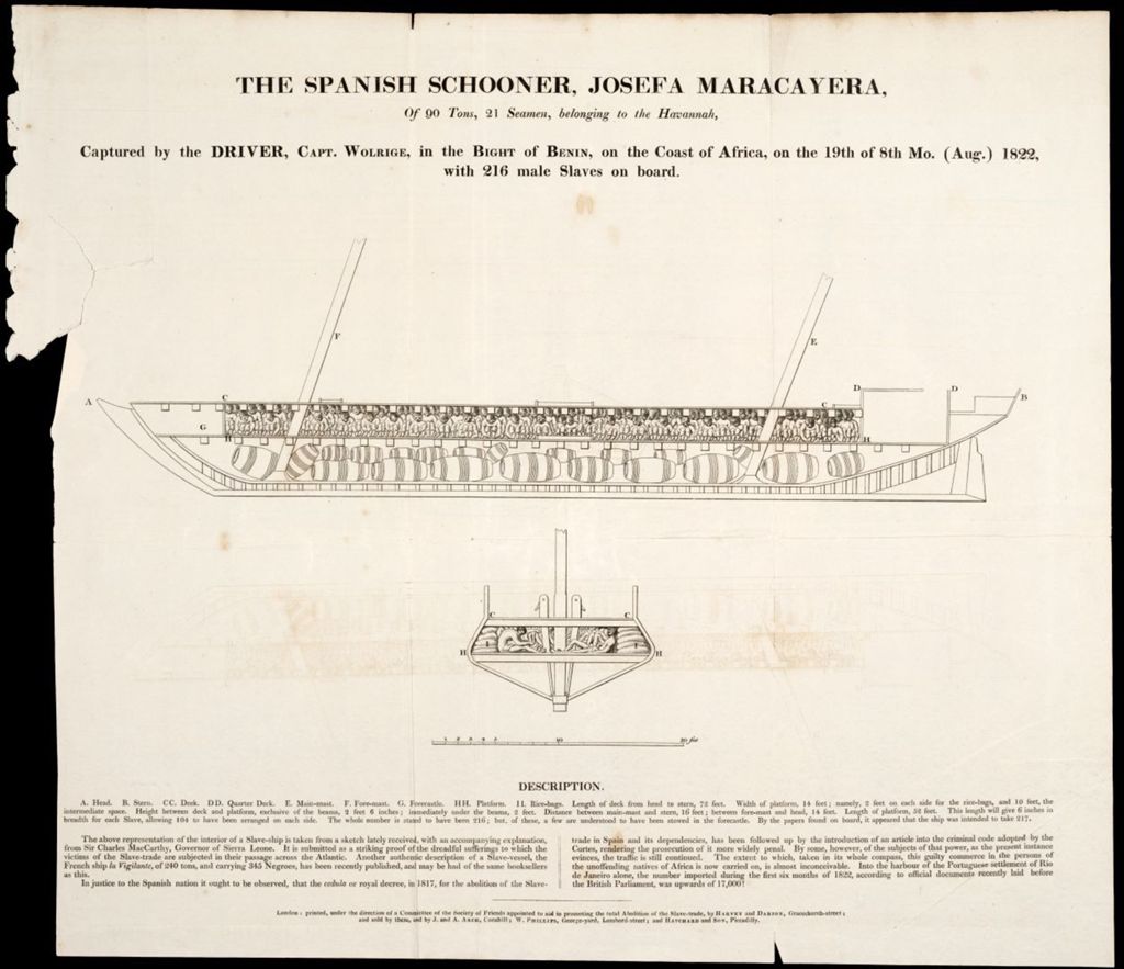 Slave ship diagram