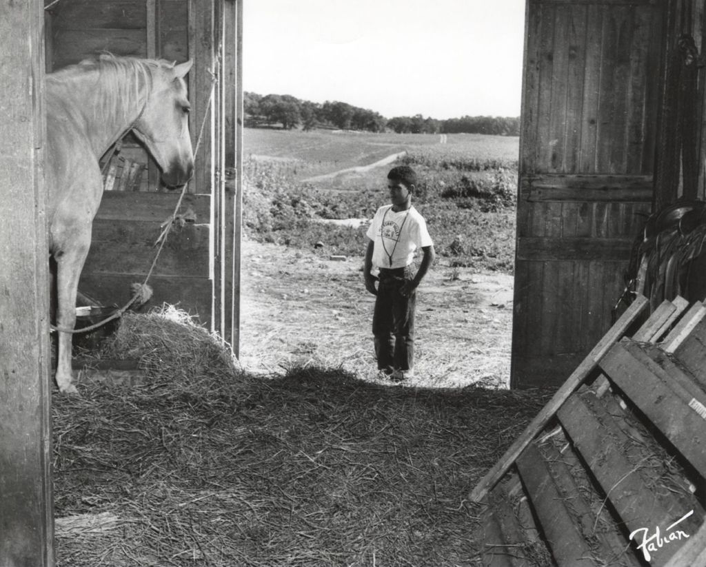 Boy looking at horse at Pleasant Valley Farm
