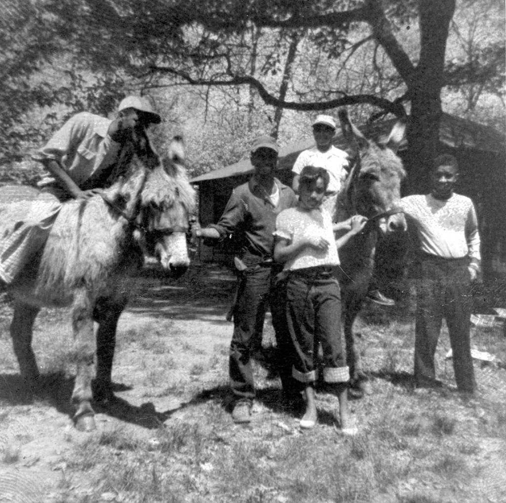Children with donkeys at camp