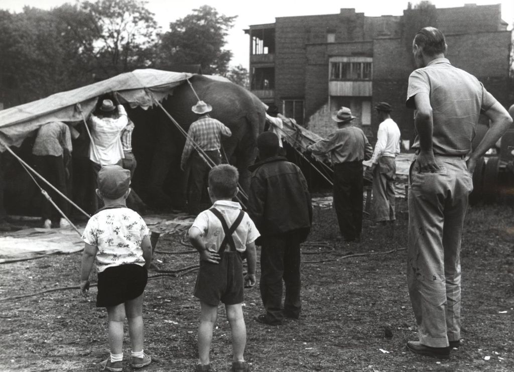 Workers and an elephant supporting a large tent