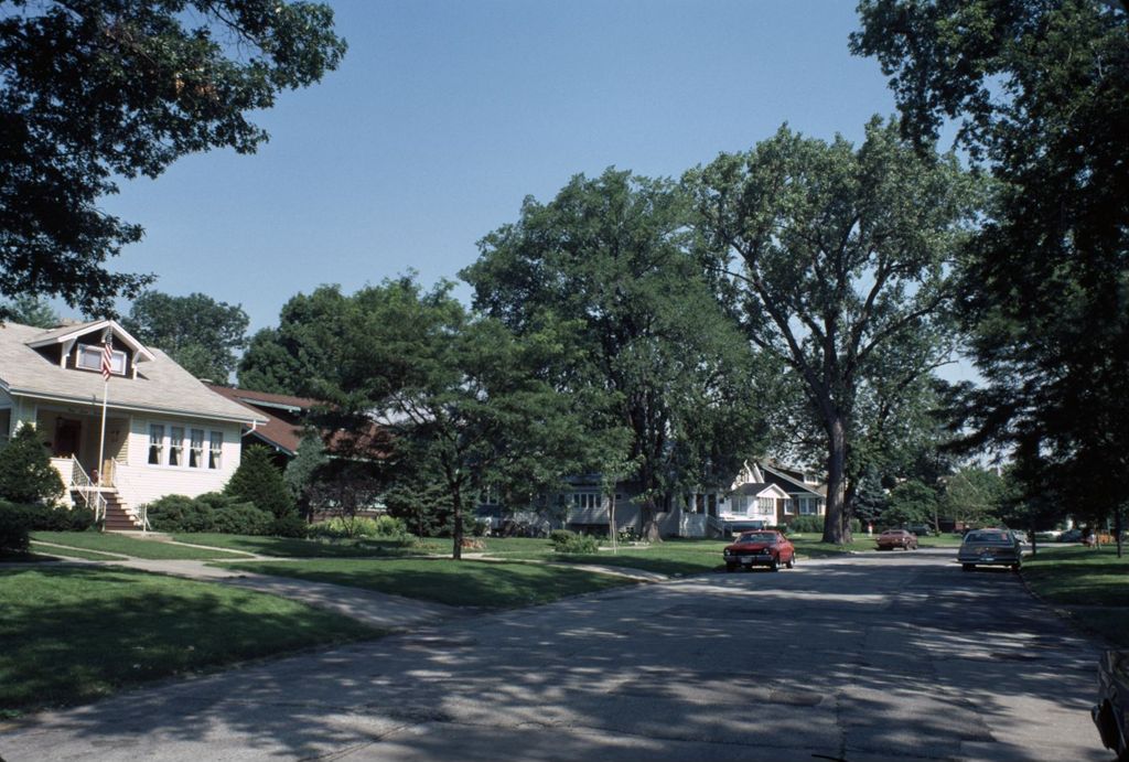 Residential area, North Circle Avenue, Norwood Park