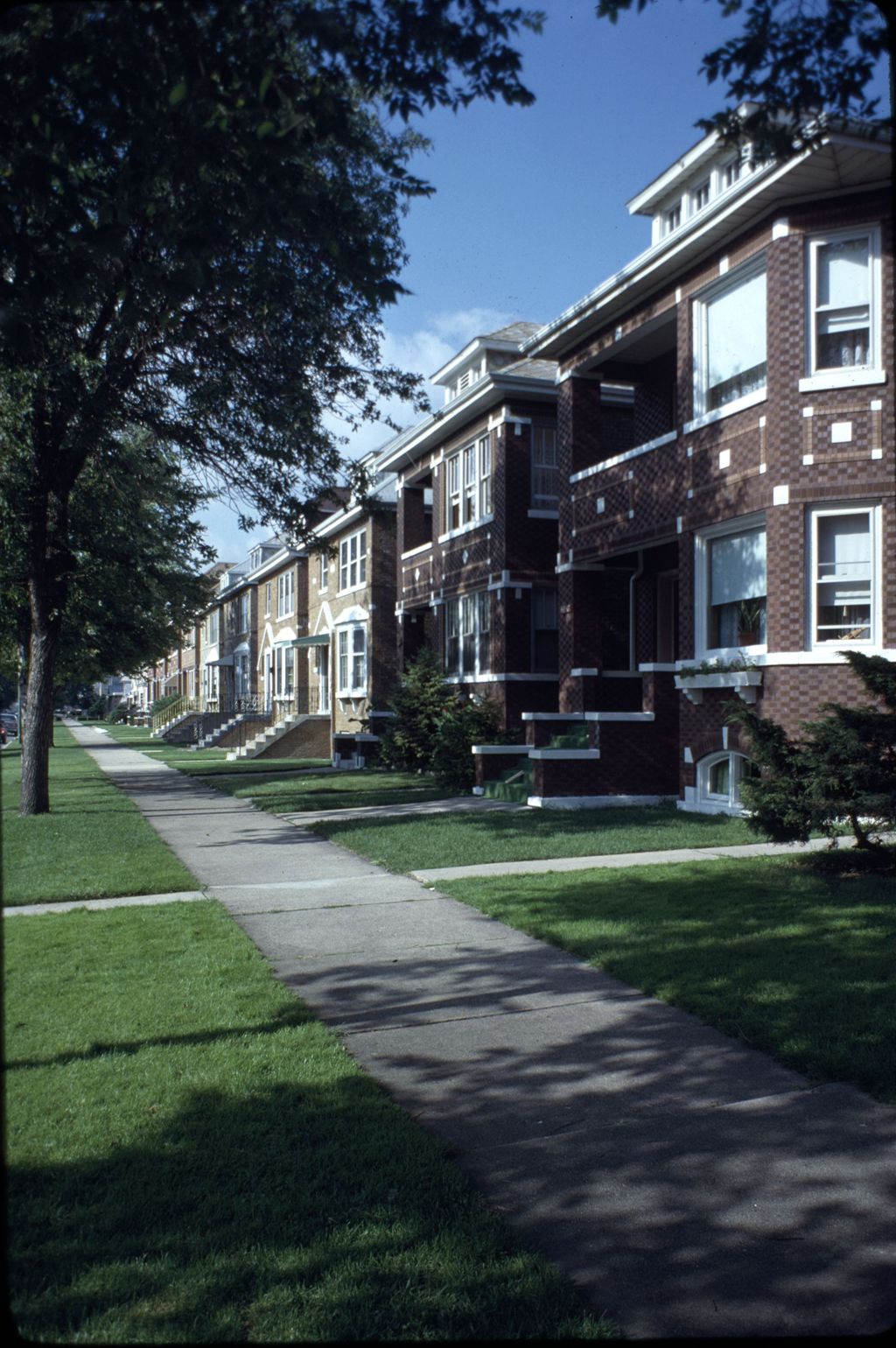 Houses and apartments, South Tripp Avenue
