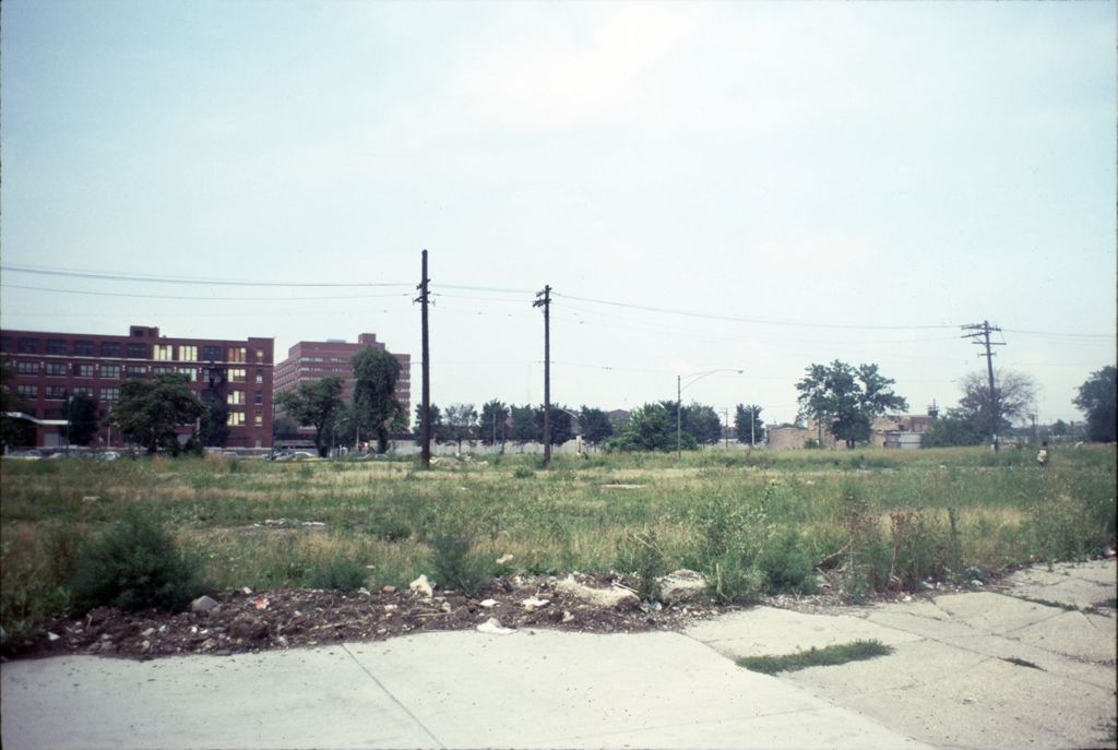 Miniature of Vacant land on Roosevelt Road, North Lawndale
