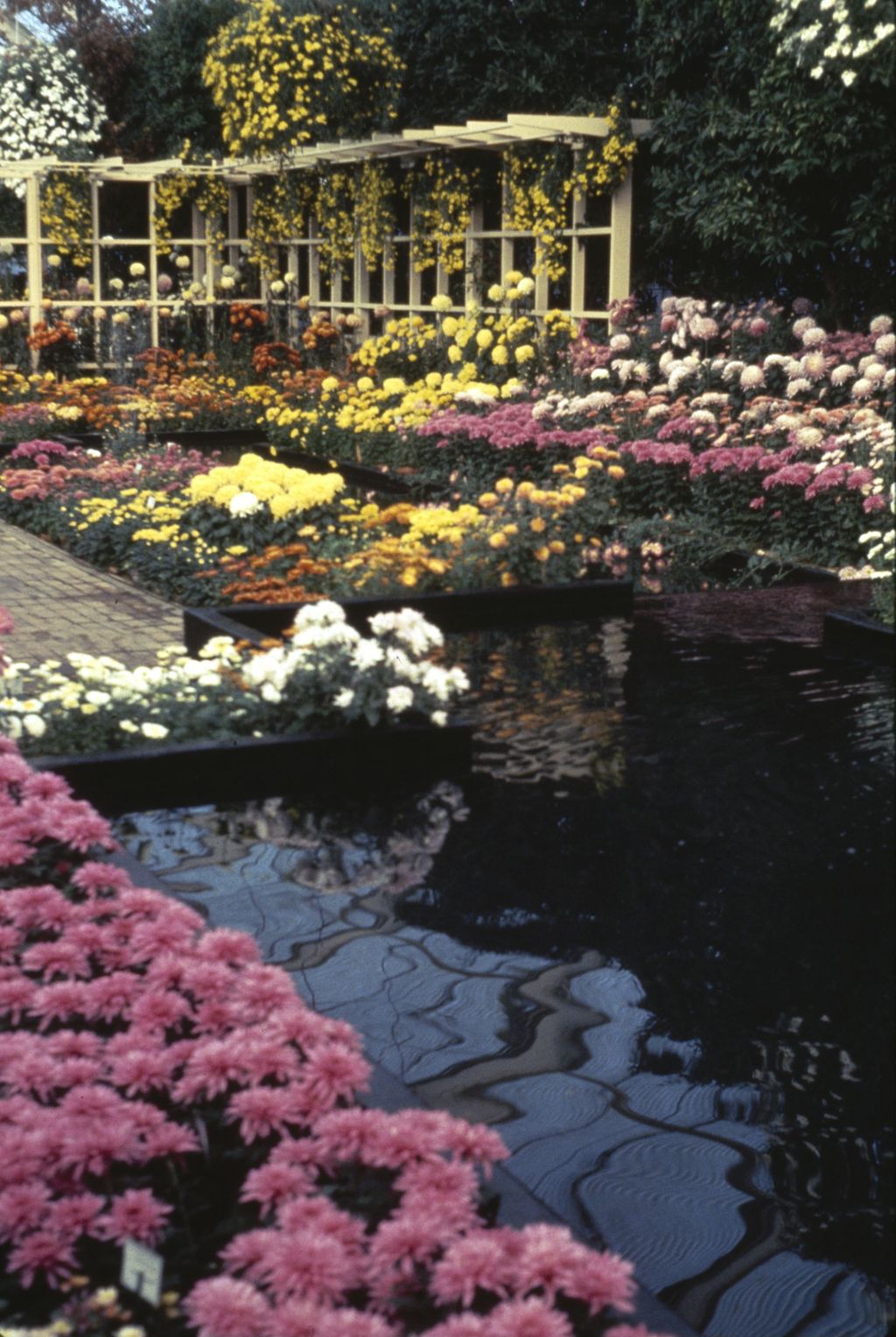 Garfield Park flower garden