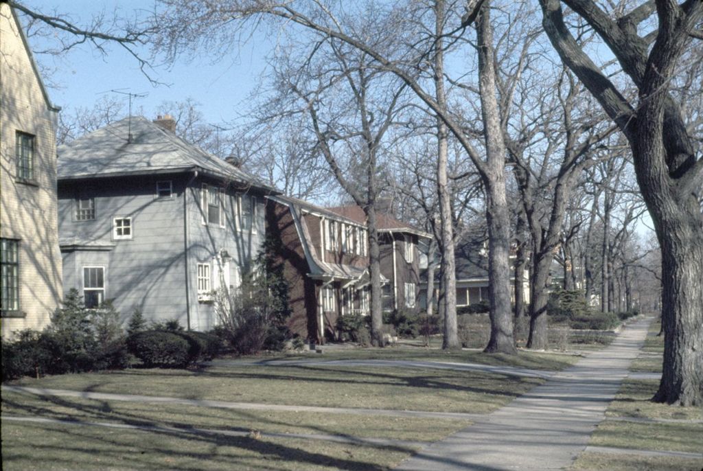 Miniature of Residential street, Longwood Drive District