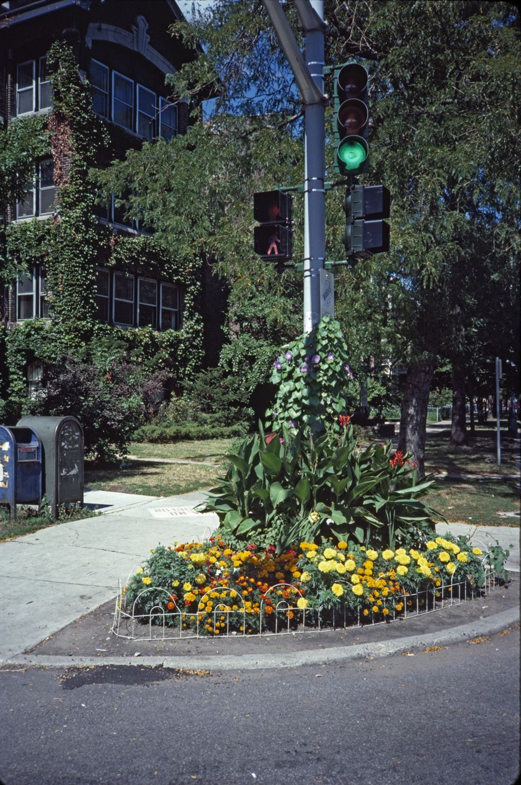Miniature of Curbside plantings at street corner