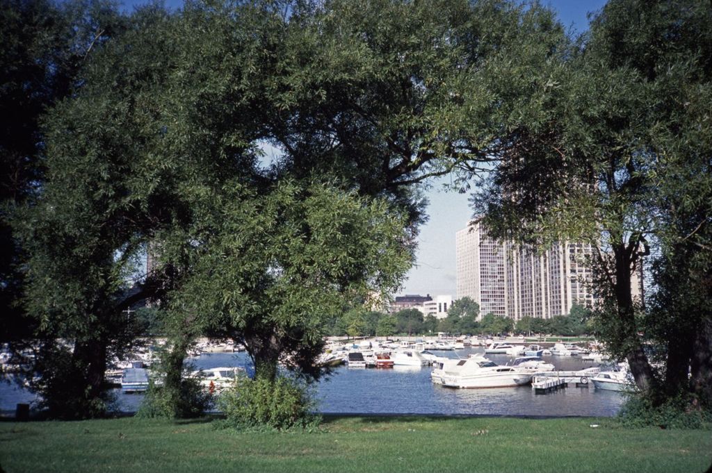 Boats in Diversey Harbor, and high-rise apartment buildings