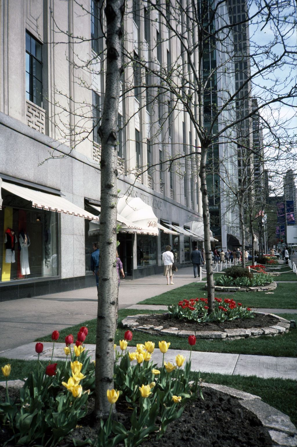 Landscaped parkway in front of Saks Fifth Avenue