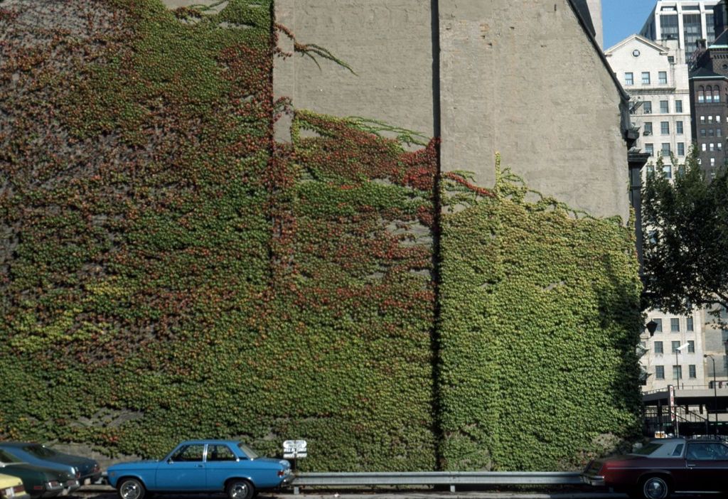 Ivy-covered wall, Wabash and Superior