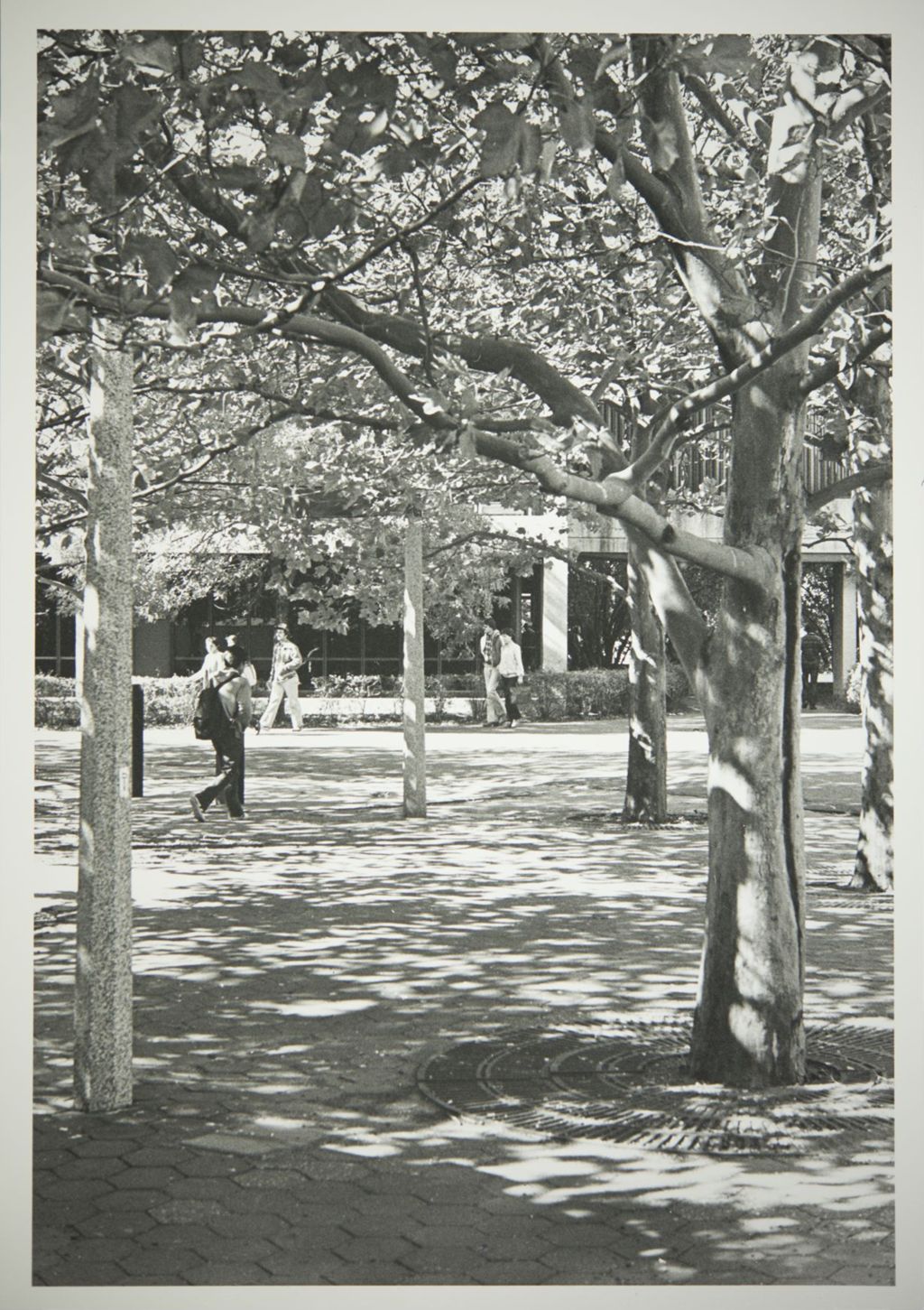 Miniature of Students walking on campus with Taft Hall in the background