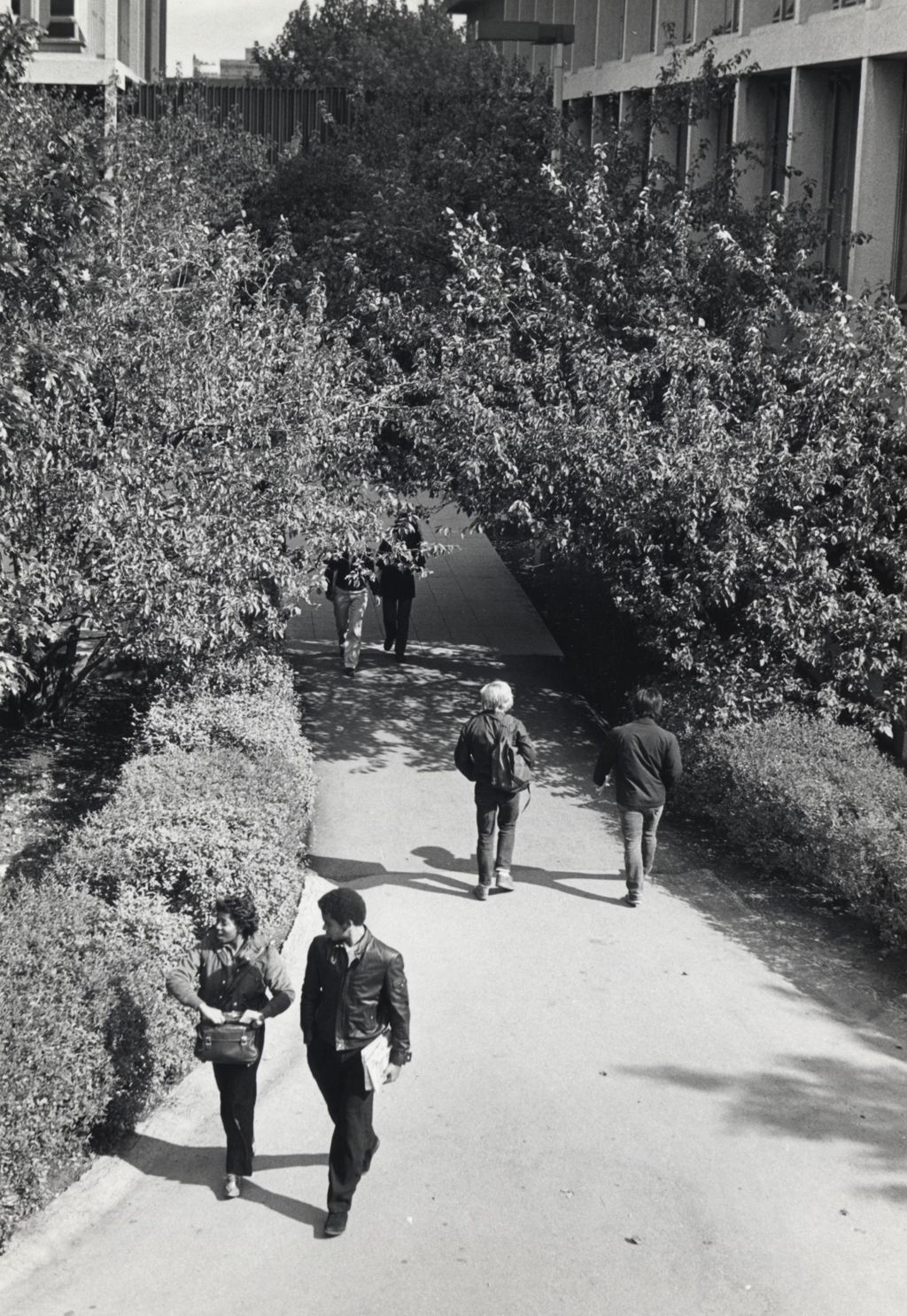 Miniature of Students walking on campus