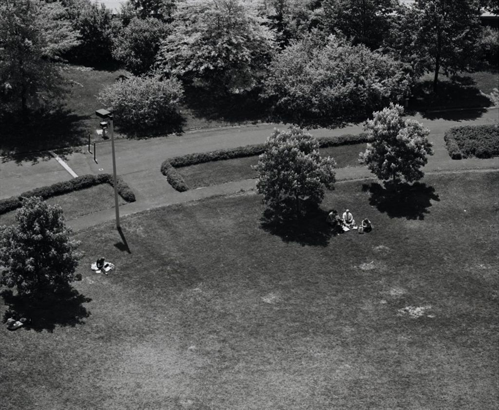 Miniature of Aerial view of the lawn outside the Science and Engineering Offices