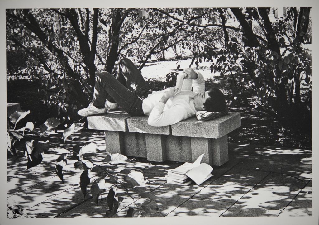 Miniature of Student reading on a bench