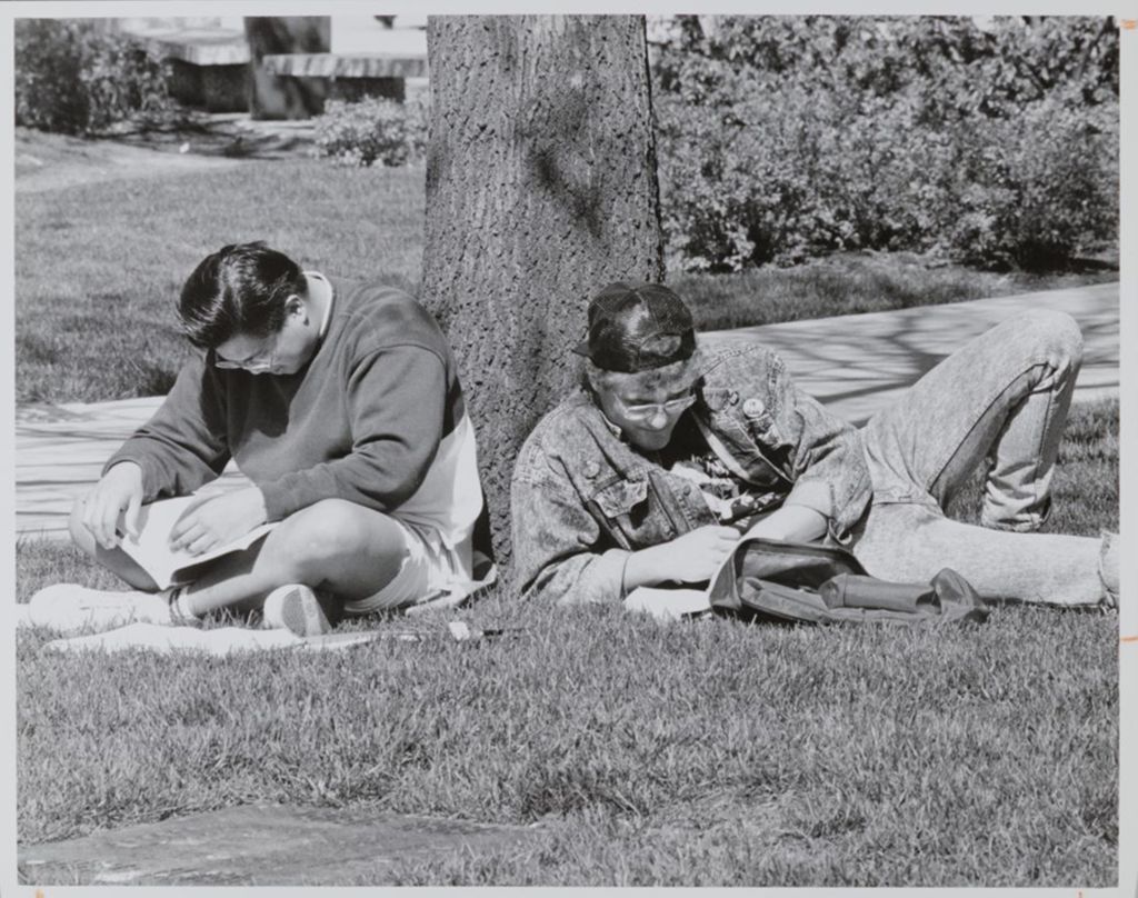 Miniature of Students sitting in the grass on campus
