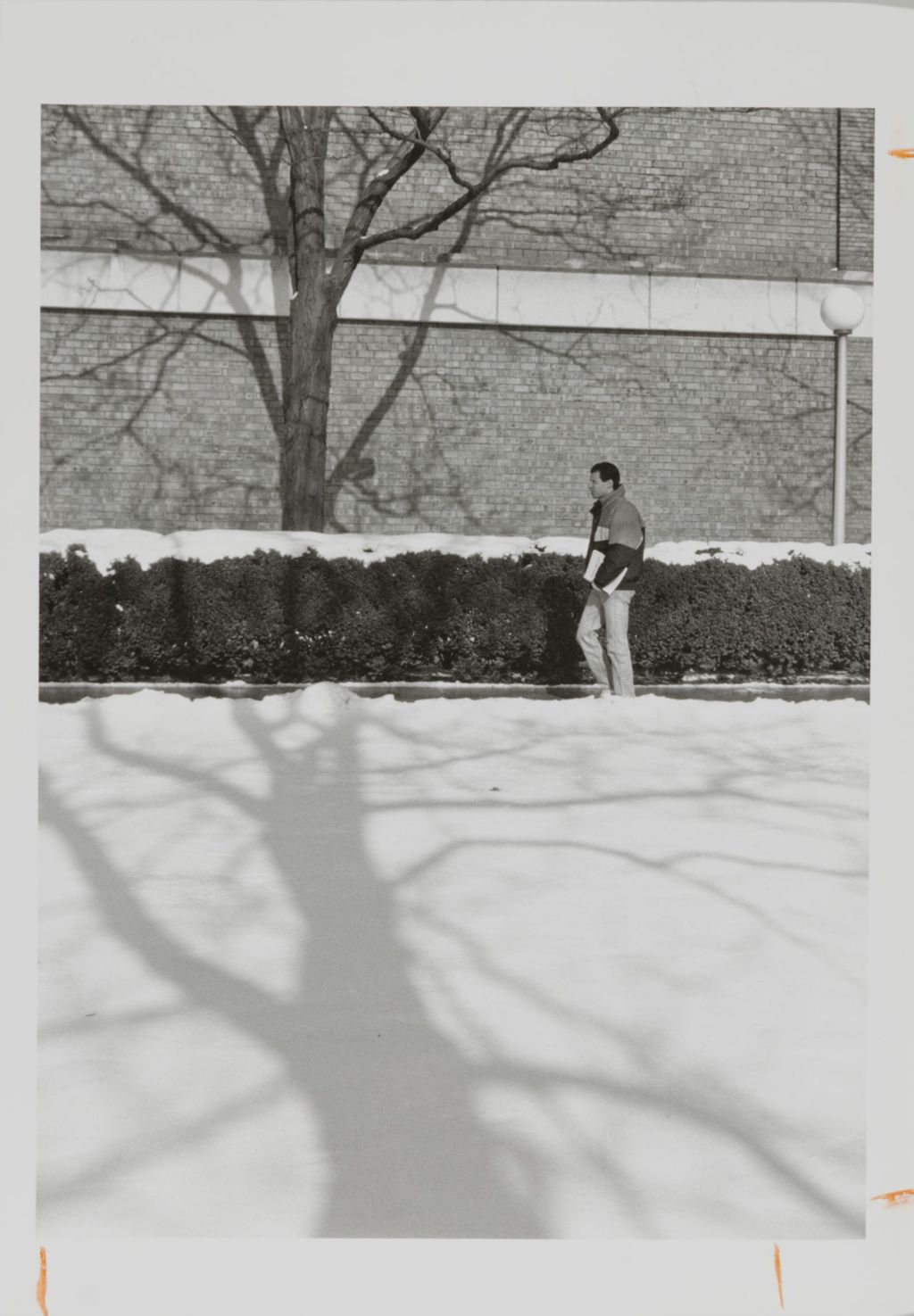 Miniature of Student walking on campus in winter