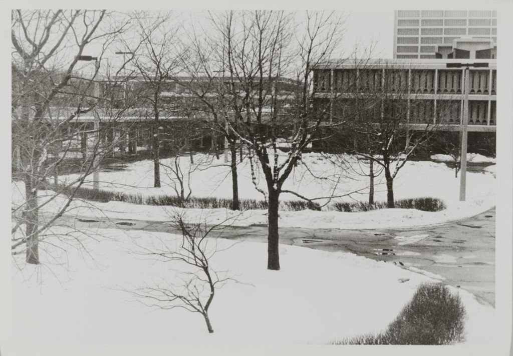 Miniature of Winter scene with Grant Hall, Douglas Hall, and Lincoln Hall