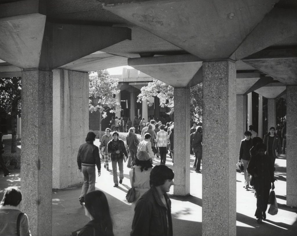 Miniature of View of pedestrians beneath the elevated walkways