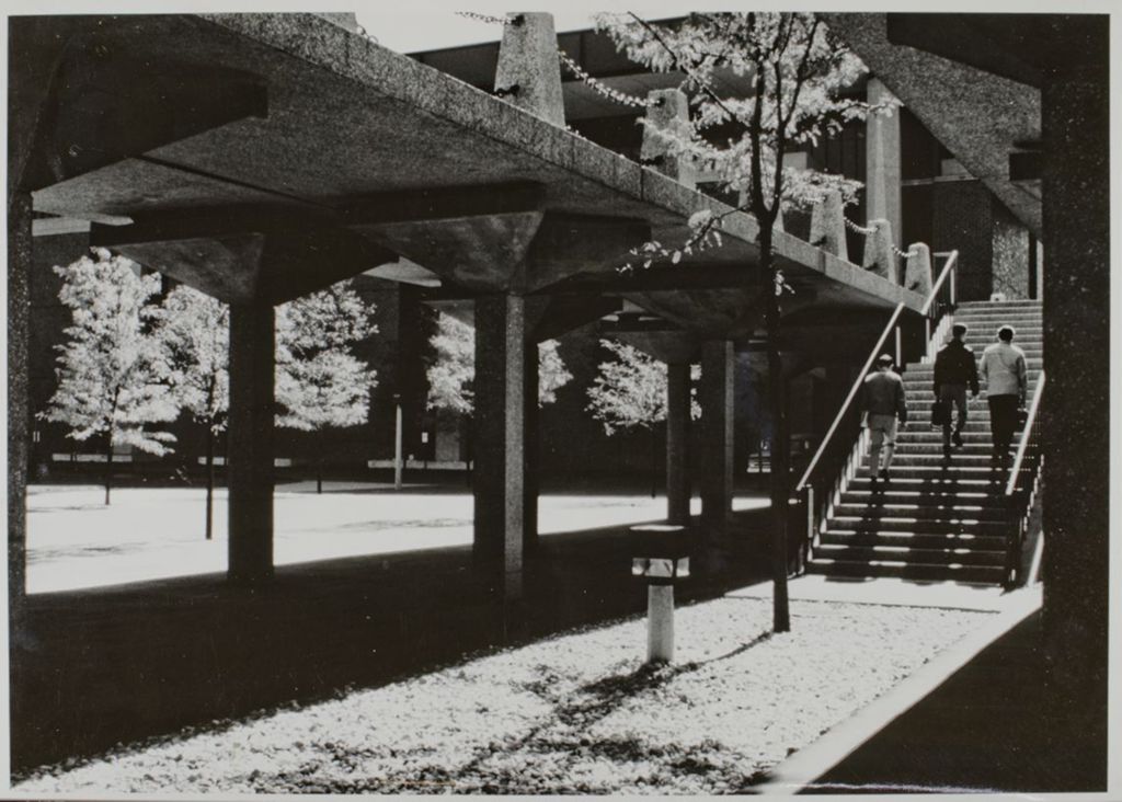 Miniature of View of elevated walkway, landscaping, and students ascending staircase