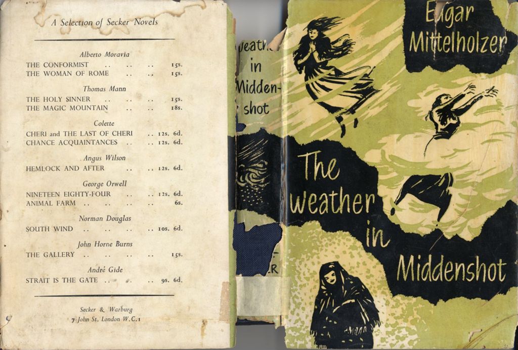 Miniature of The weather in Middenshot: a novel