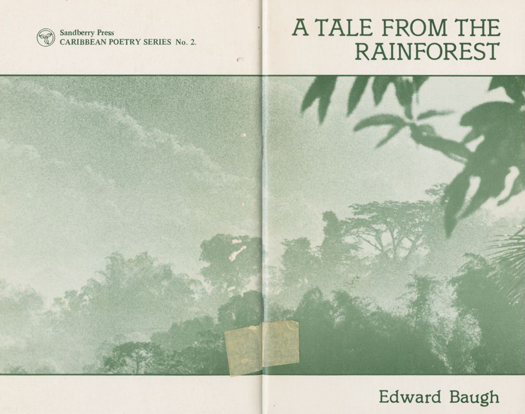 A tale from the rainforest