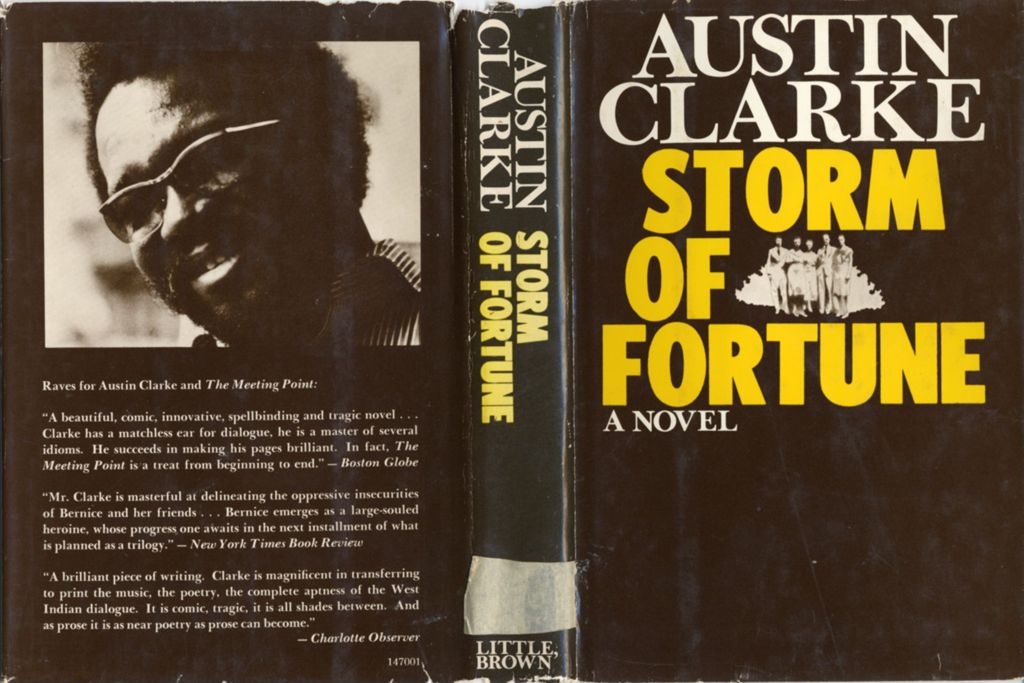 Miniature of Storm of fortune: a novel