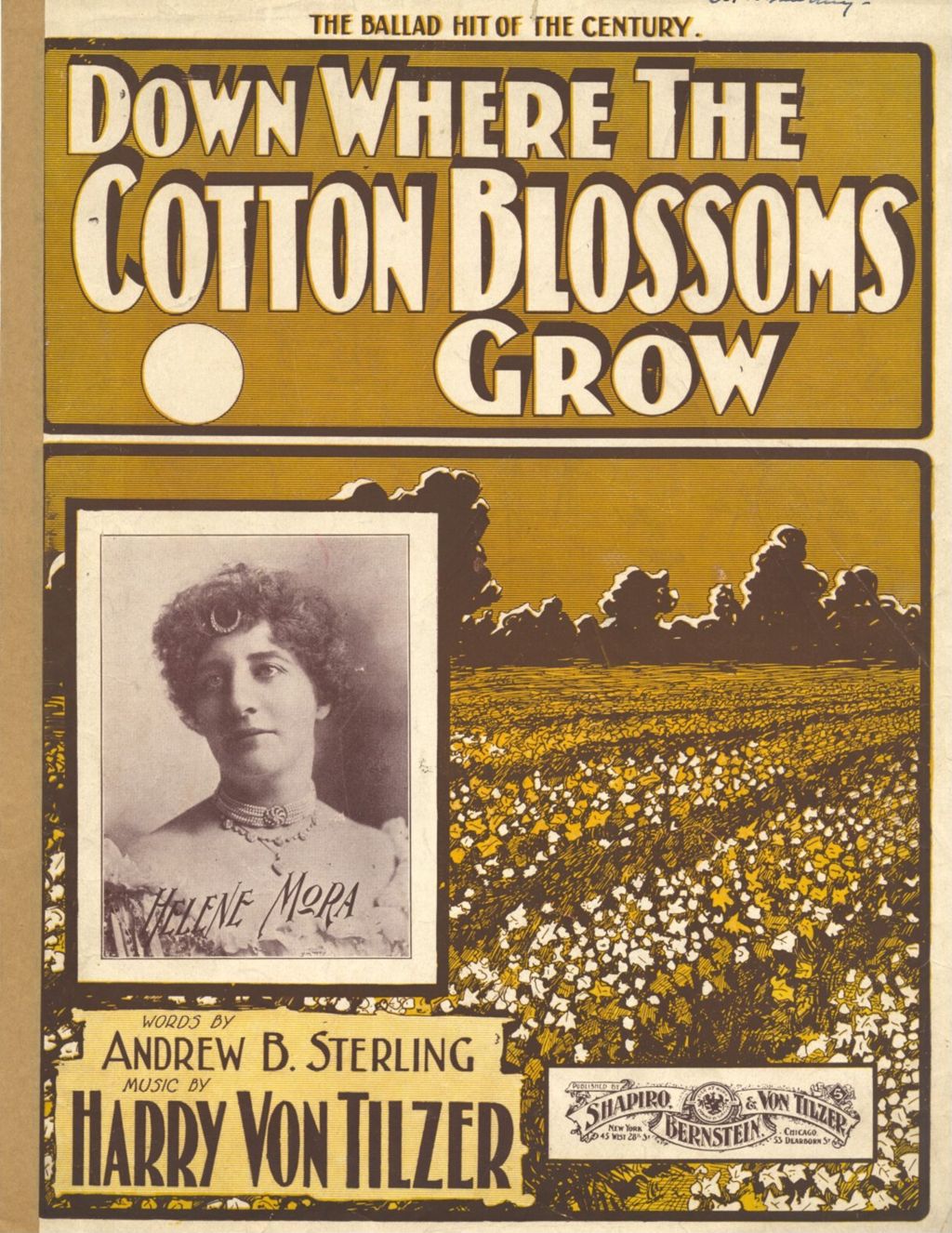 Down Where the Cotton Blossoms Grow