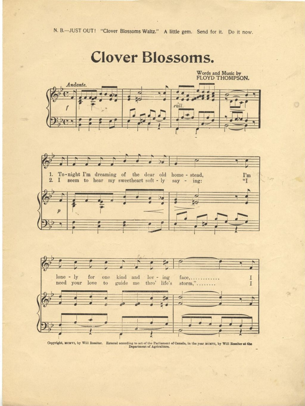 Miniature of Clover Blossoms