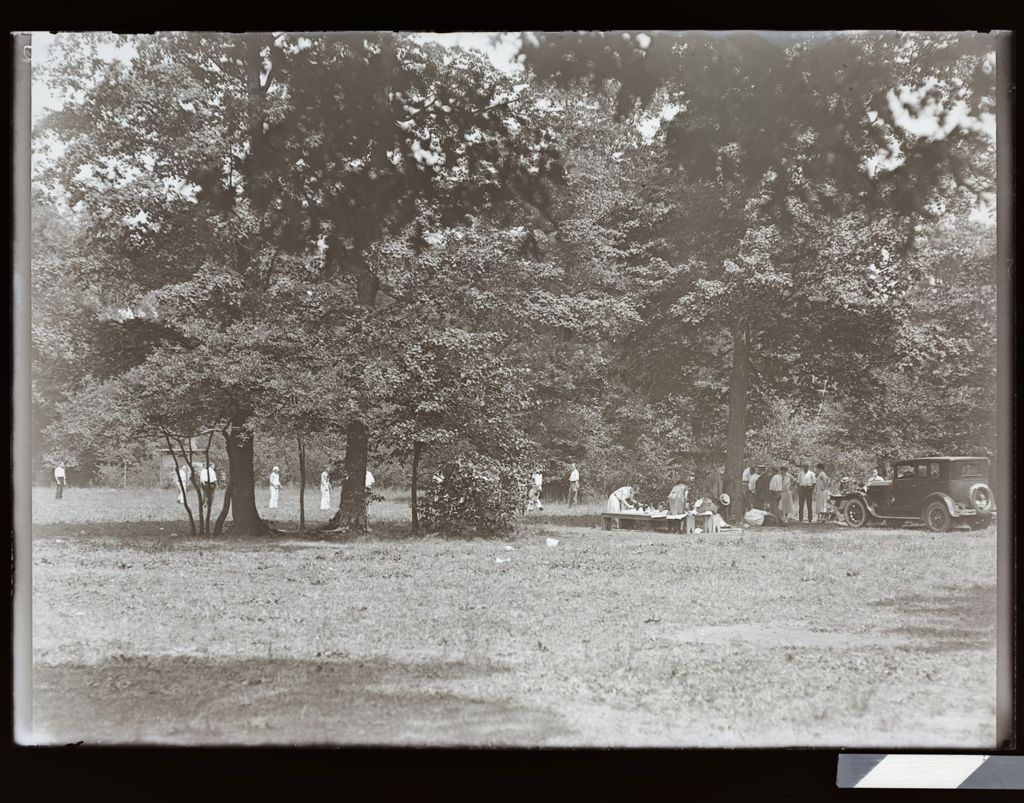 Miniature of Picnic, Small Harms Woods, Glenview Preserve