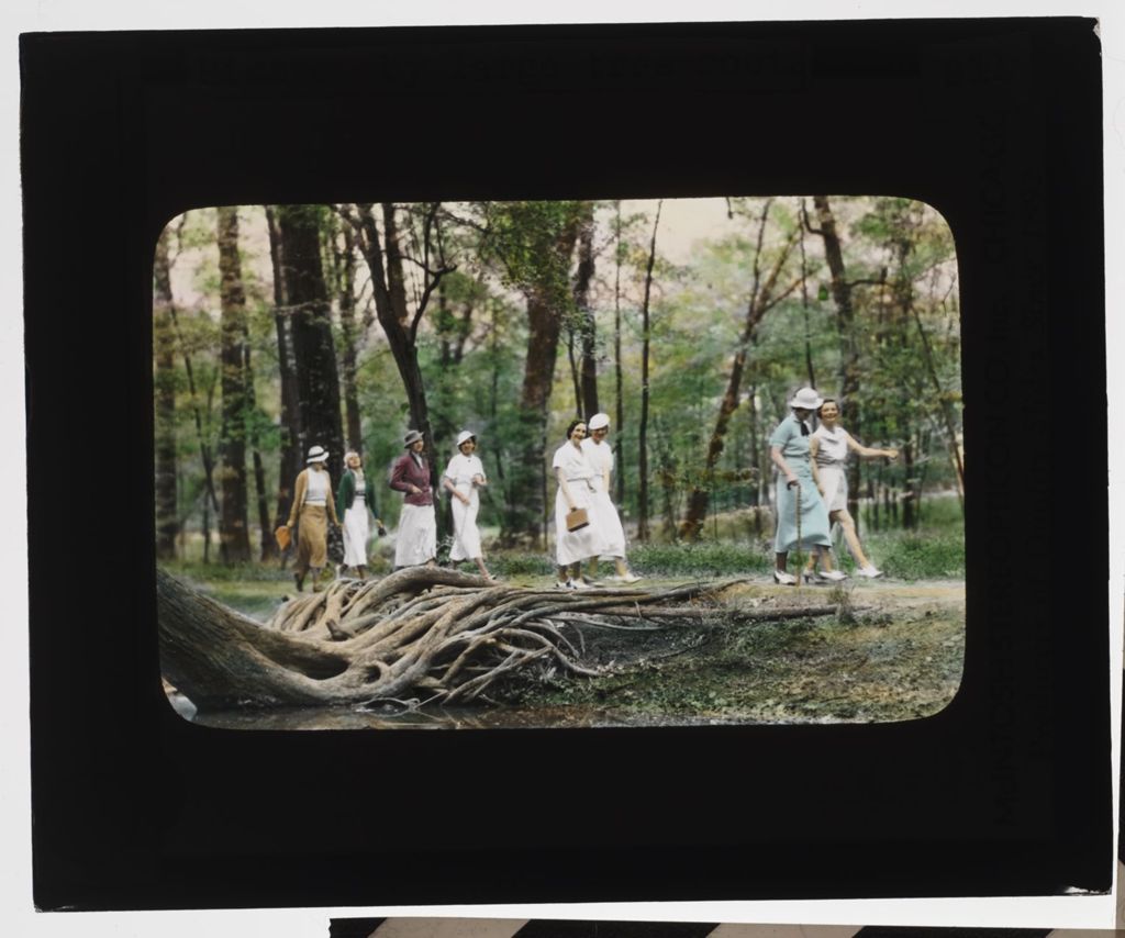 Miniature of Picnics and Recreation Activities - Hikers by large tree roots