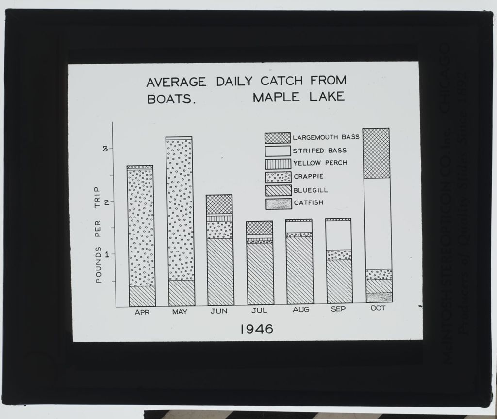 Miniature of Maple Lakes, Average Daily Catch Chart