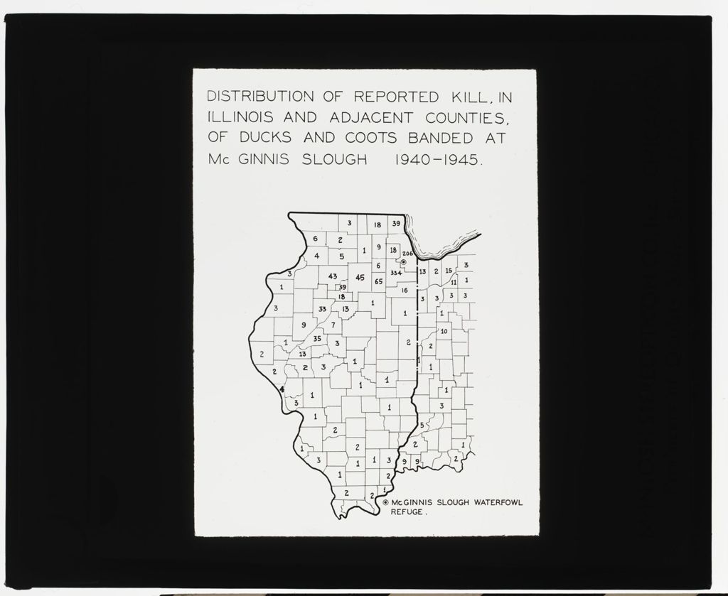Miniature of McGinnis Slough 1940 Waterfowl Study, Distribution of Reported Kill in Illinois and Adjacent Counties of Ducks and Coots Banded at McGinnis Slough