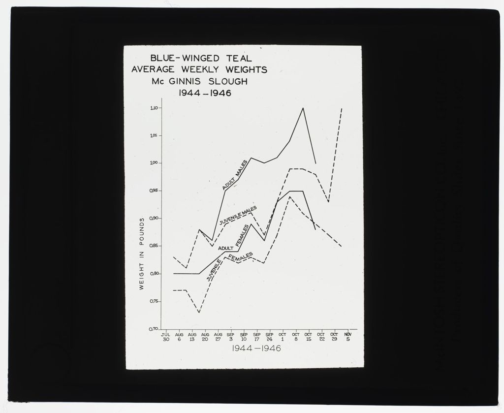 McGinnis Slough 1940 Waterfowl Study, Blue, Winged Teal Weight Graph