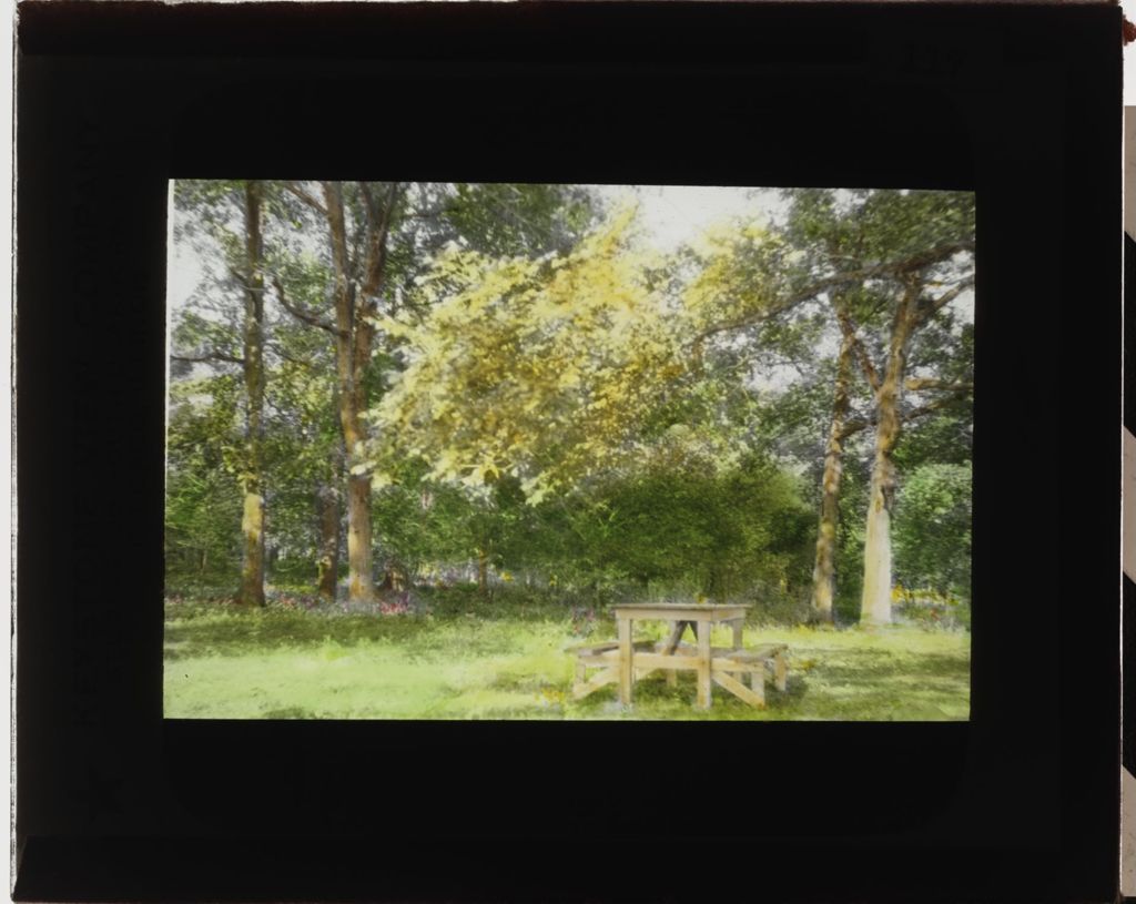 Miniature of Forest Preserve and Picnic Table
