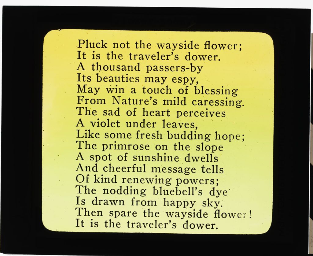 Miniature of Flower Poem