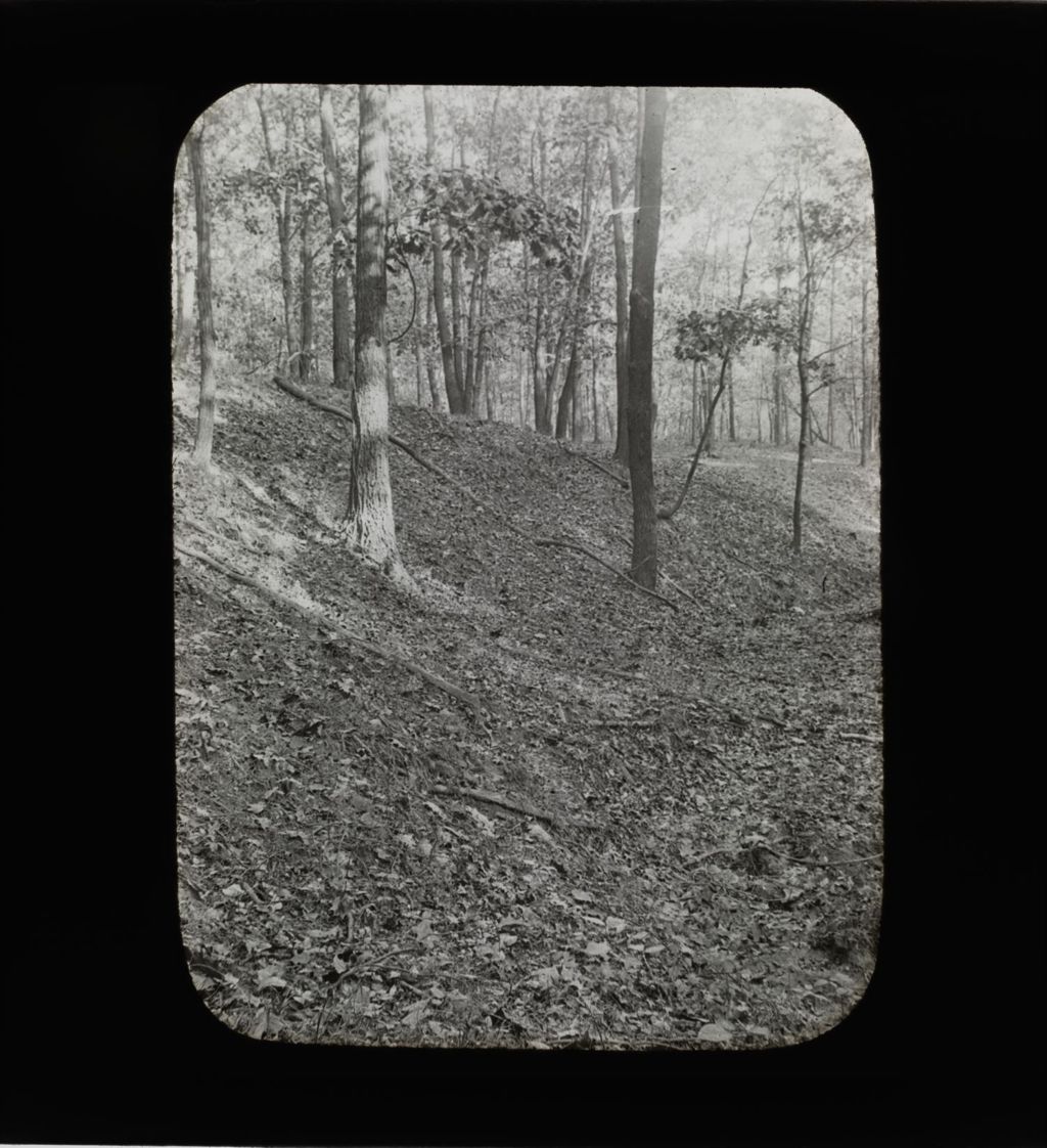 Miniature of Forest, Slope