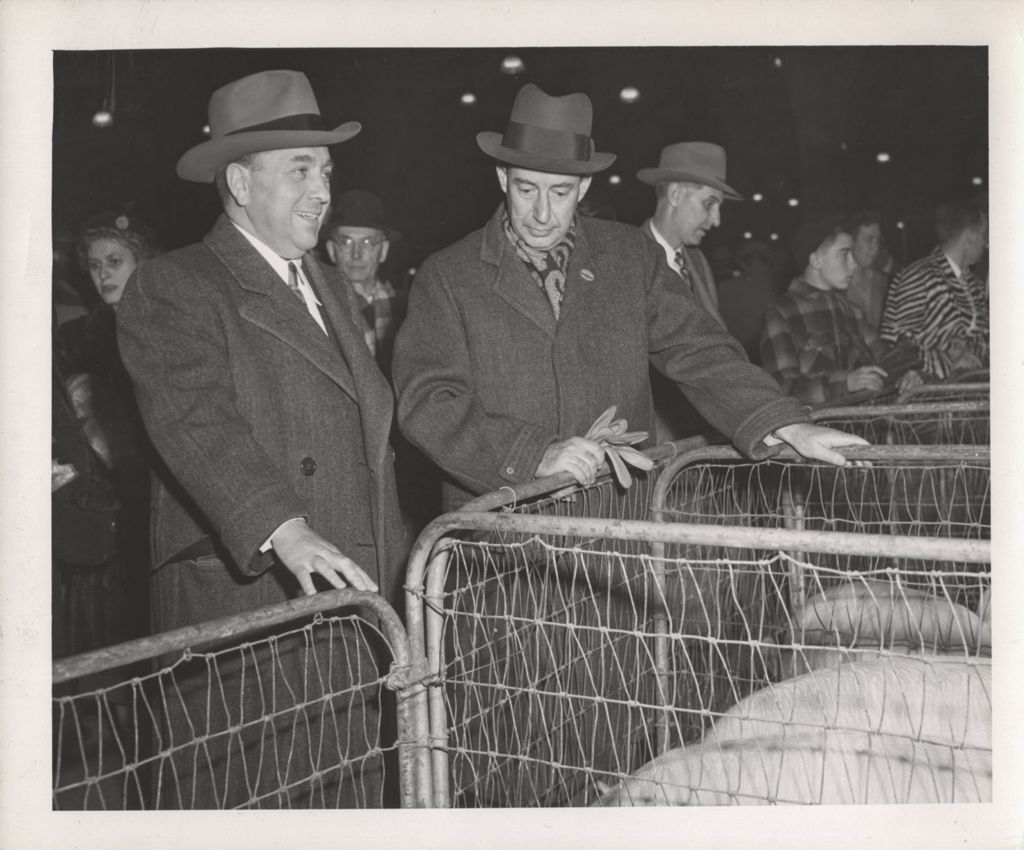 Richard J. Daley and Adlai Stevenson II at a Livestock Expo