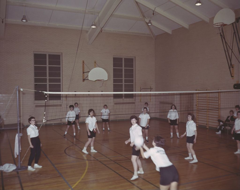 Volleyball players in a gymnasium