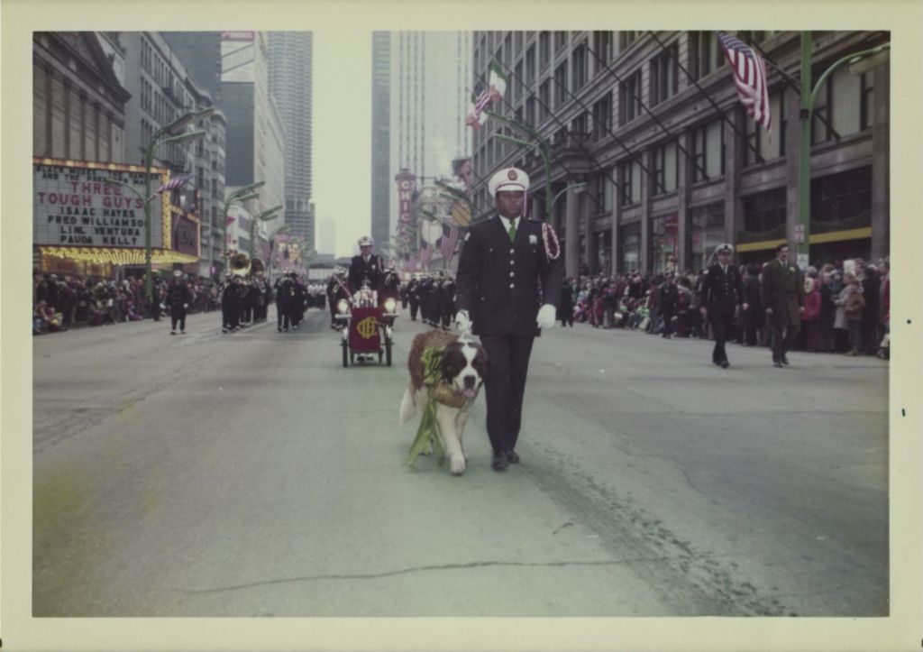Miniature of Marching band led by a St. Bernard dog at the St. Patrick's Day parade.