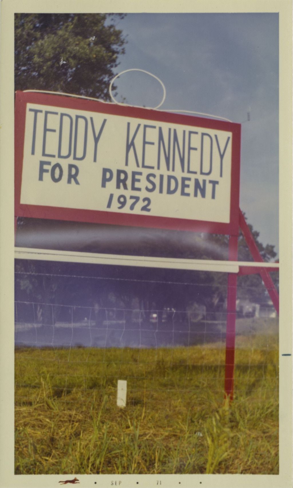 Miniature of Teddy Kennedy campaign sign
