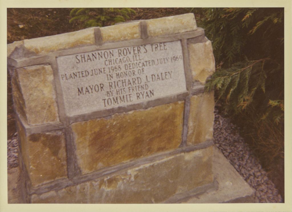 Miniature of Monument for Shannon Rover's Tree dedicated to Richard J. Daley