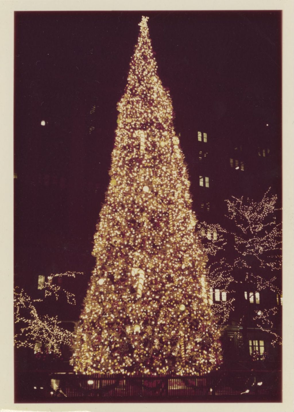 Miniature of Christmas tree illuminated at night