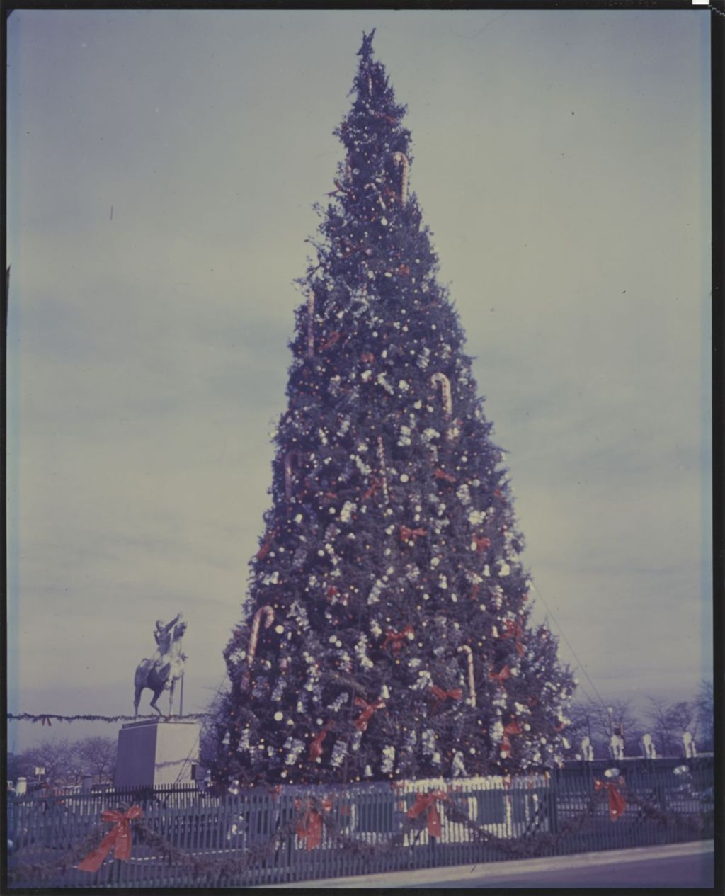 Christmas tree at Michigan Avenue and Congress