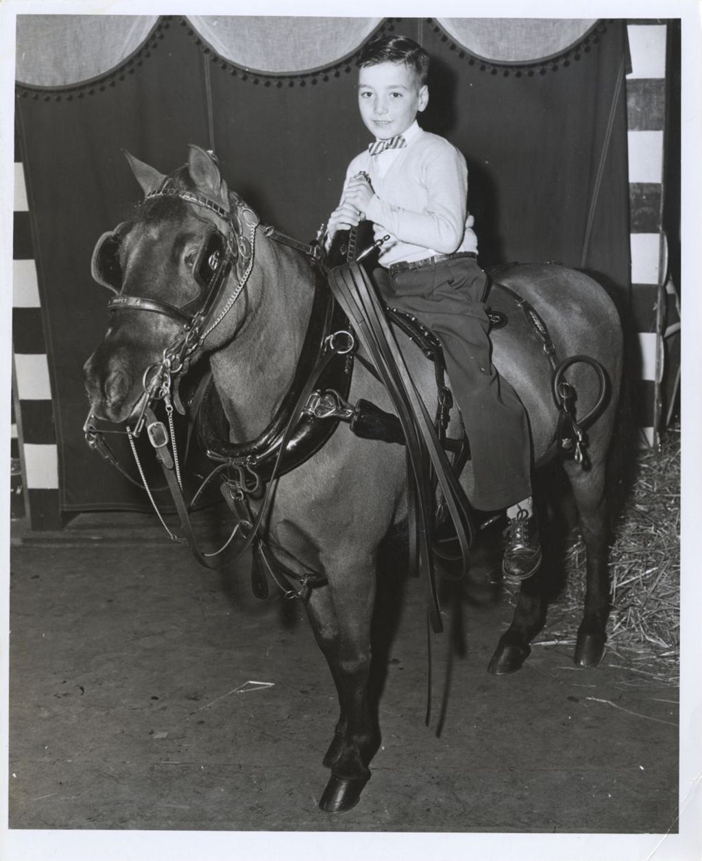 Miniature of William Daley riding a pony at the International Horse show