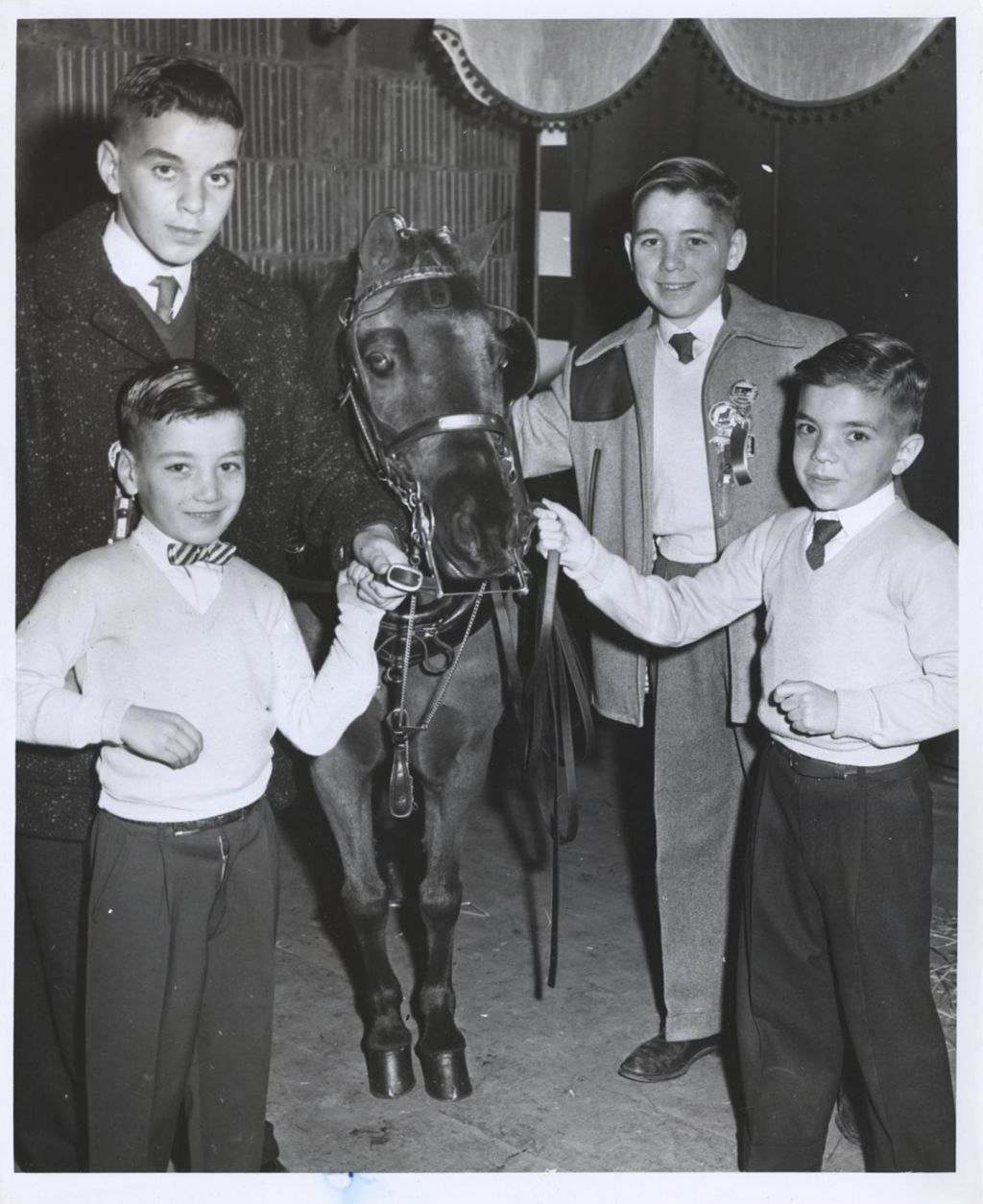 Miniature of Daley boys at International Horse Show