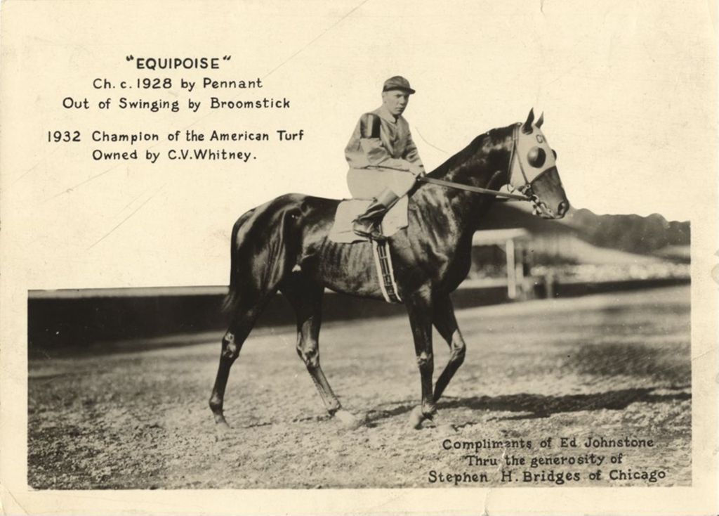 Miniature of Racehorse "Equipoise"