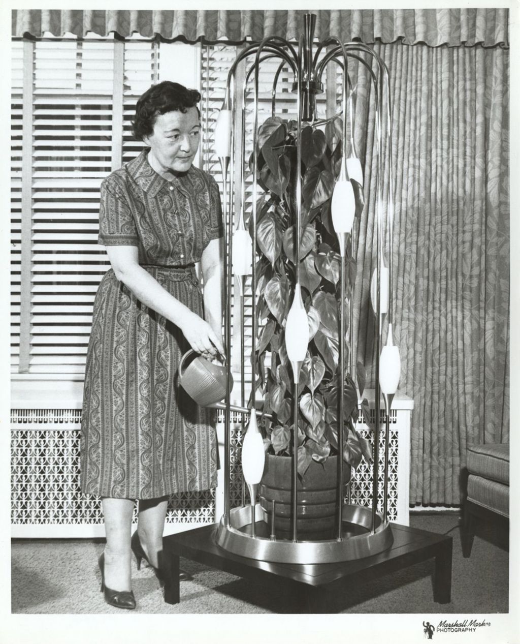 Miniature of Eleanor Daley watering a potted plant