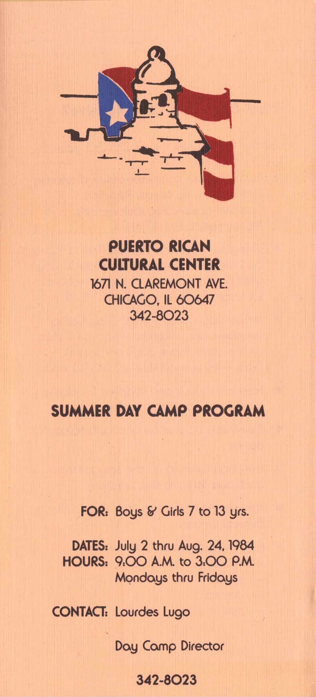 Miniature of Summer Day Camp Program