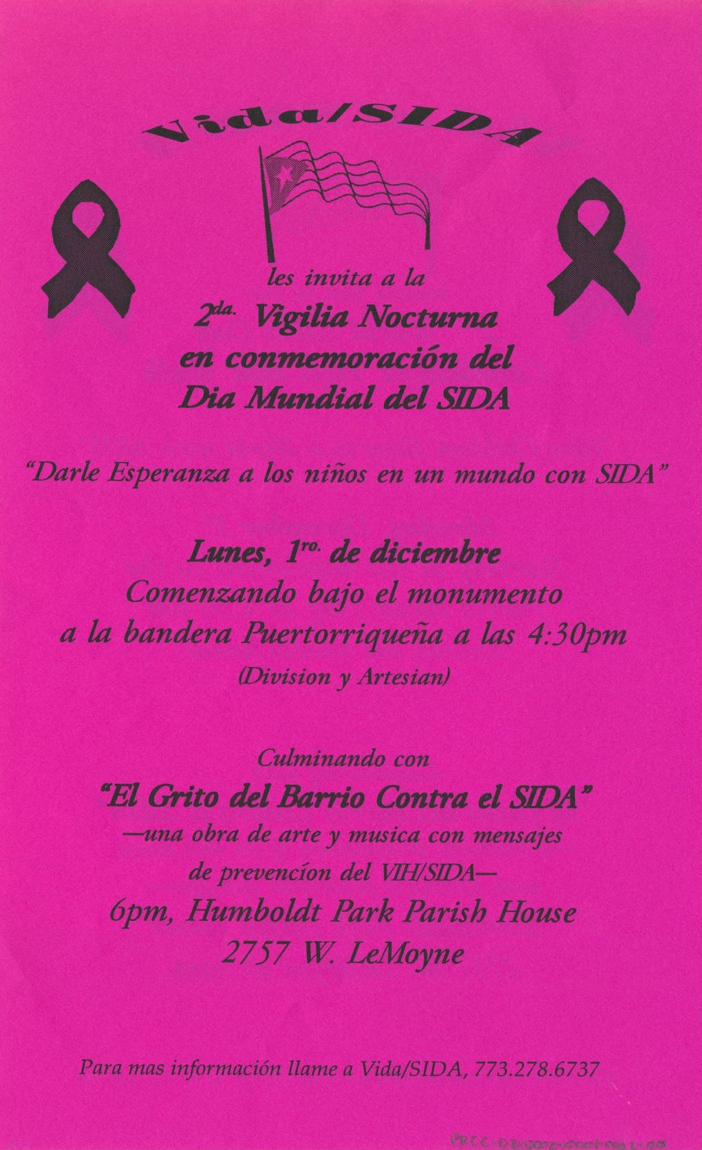 Miniature of VIDA/SIDA flyer