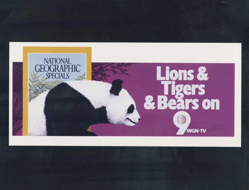 Lions & Tigers & Bears, advertisement for National Geographic Specials on WGN-TV